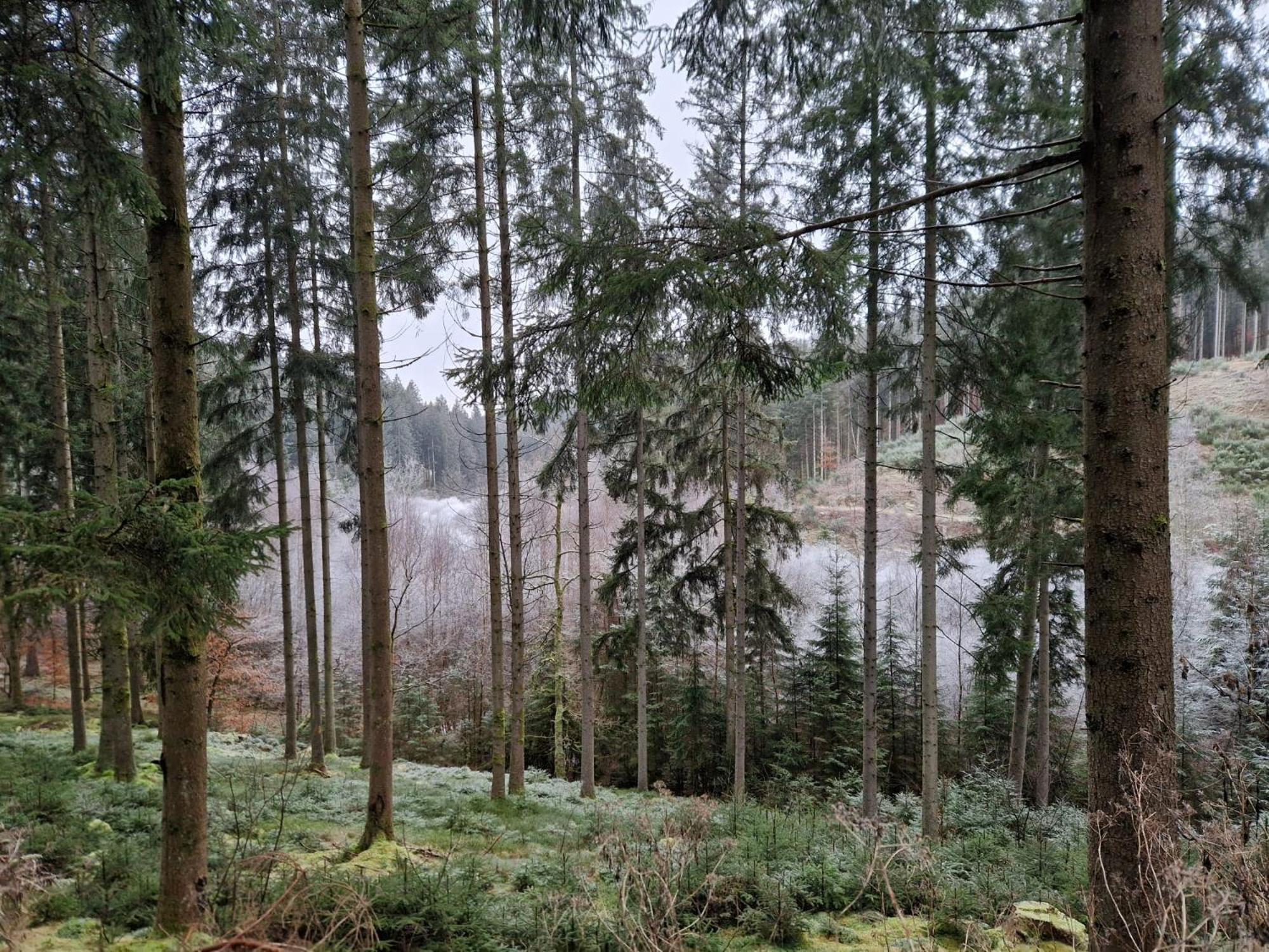 Willa Sur La Rive Vierre Suxy Zewnętrze zdjęcie